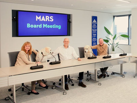 Mars, Inc. Company Profile blog post cover