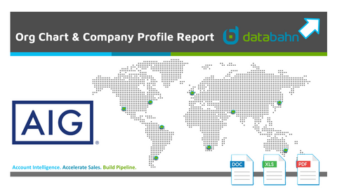 AIG Org Chart & Company Profile Report cover