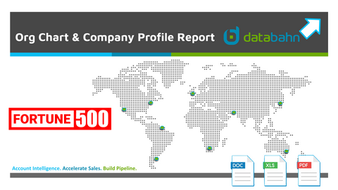 NOV Profile Report by databahn
