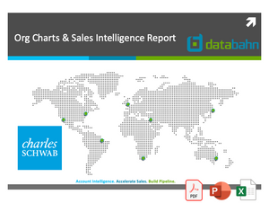 Charles Schwab company profile report cover