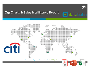 Citigroup Org Chart & Sales Intelligence Report cover