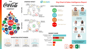 Coca-Cola Org Chart & Sales Intelligence Report cover