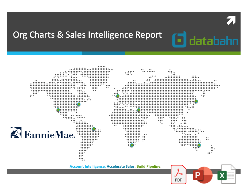 Fannie Mae Org Chart & Sales Intelligence Report cover