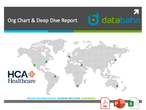 HCA Healthcare Org Chart and Deep Dive Account Intelligence Report
