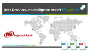 Ingersoll Rand Org Chart & Account Intelligence Report cover