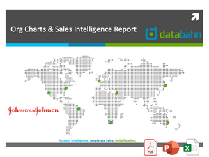 Johnson & Johnson org chart and sales intelligence report cover