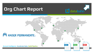 Kaiser Permanente Org Chart Report cover