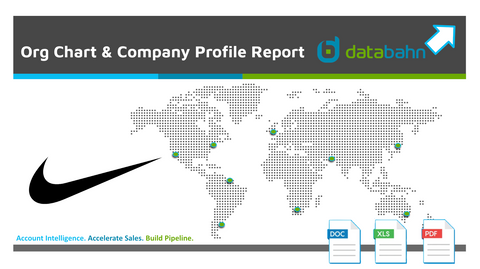 NIKE Company Profile and Nike Org Chart Report cover