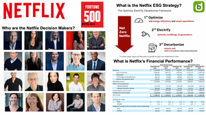Netflix Org Chart Report