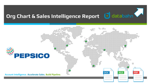 Pepsico Org Chart & Sales Intelligence Report cover