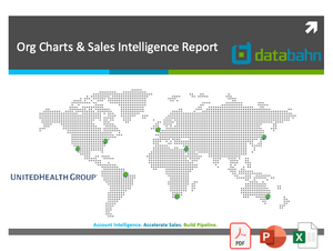 UnitedHealth Group Org Chart & Sales Intelligence Report cover
