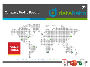 Wells Fargo Company Profile Report cover