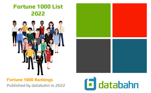 2022 Fortune 1000 list spreadsheet download