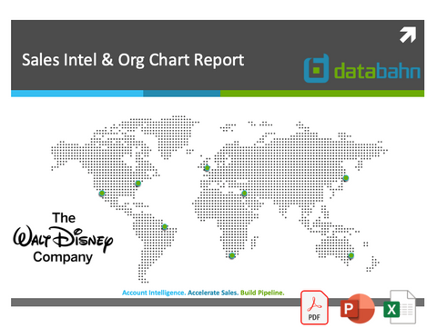 The Walt Disney Org Chart & Sales Intelligence Report cover