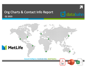 MetLife Org Chart & Sales Intelligence Report cover